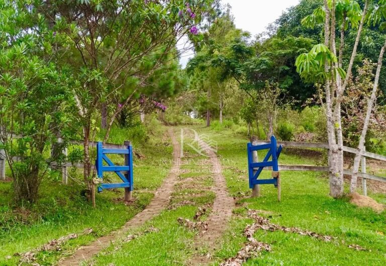 515047383_122203248680051071_7549193452443612084_n