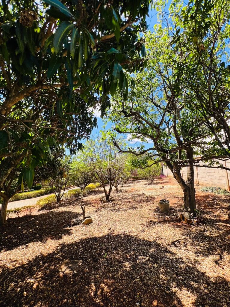 eZy Watermark_27-09-2025_03-46-22-7880PM