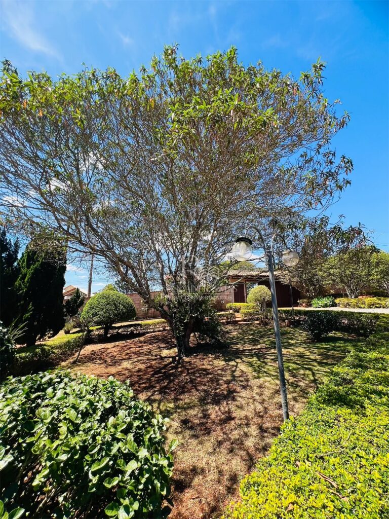 eZy Watermark_27-09-2025_03-46-26-3910PM