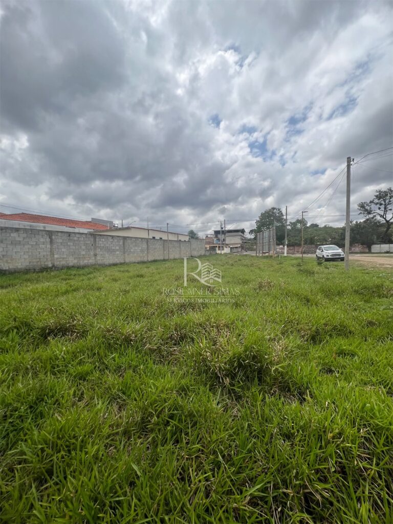 eZy Watermark_02-11-2025_01-55-50-4370PM